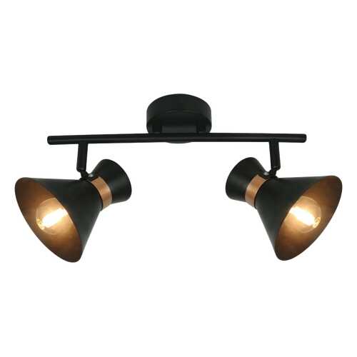 Спот Arte Lamp A1406AP-2BK e14
