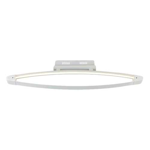 Потолочный светодиодный светильник ST Luce SL920,102,01