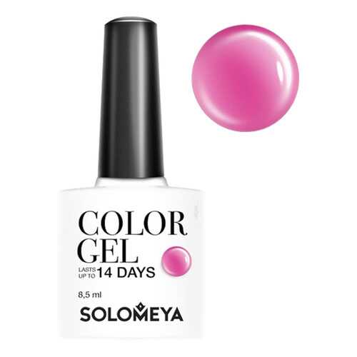 Гель-лак для ногтей Solomeya Color Gel Сладости