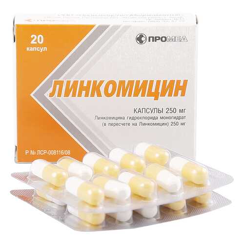 Линкомицин гидрохлорид капсулы 0,25 г 20 шт.