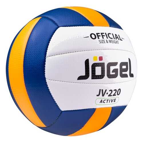 Волейбольный мяч Jogel JV-220 №5 blue/white/yellow