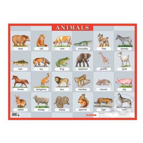 Обучающий плакат Айрис-Пресс по Английскому Языку Animals