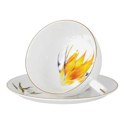 Чашка с блюдцем Strelitzia 250 мл Flowers Julia Vysotskaya 57978