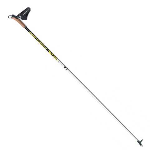 Лыжные палки Fischer RC3 2020, 170 см