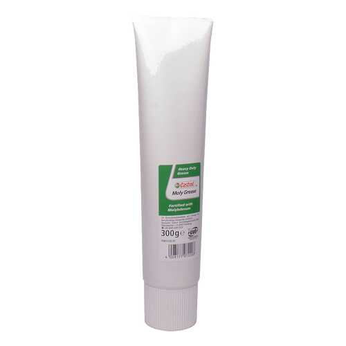 Литиевая смазка Castrol 0.3кг 1581AE