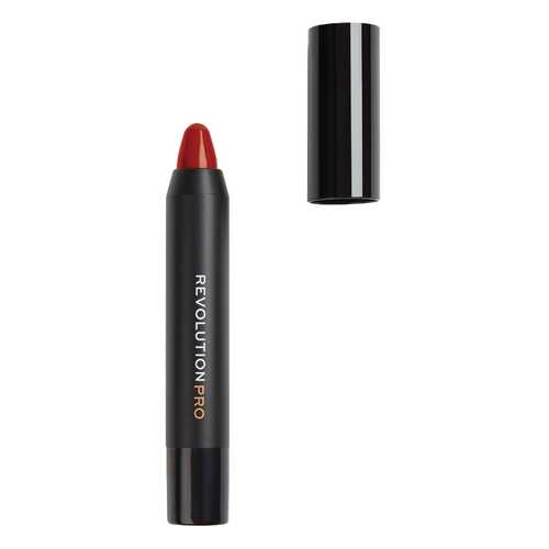 Универсальный карандаш Revolution PRO The Illustrator Inventive 2,5 г