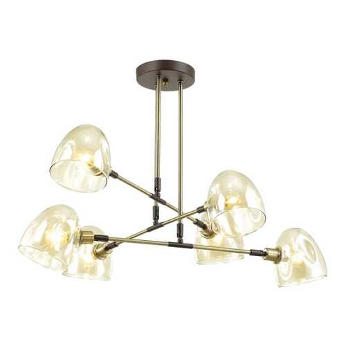 Люстра потолочная Lumion Noah 4434/6C