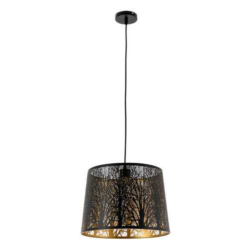 Светильник Arte Lamp CELESTA A2769SP-1BK