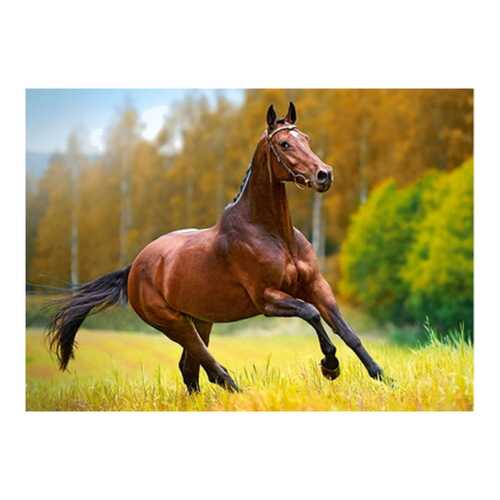 Пазл Castorland Осенний Ветер 180 деталей