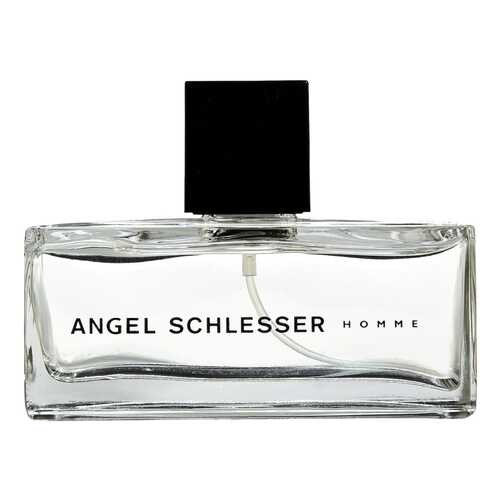 Туалетная вода Angel Schlesser Homme 75 мл