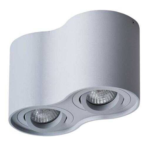 Светильник Arte Lamp FALCON A5645PL-2GY