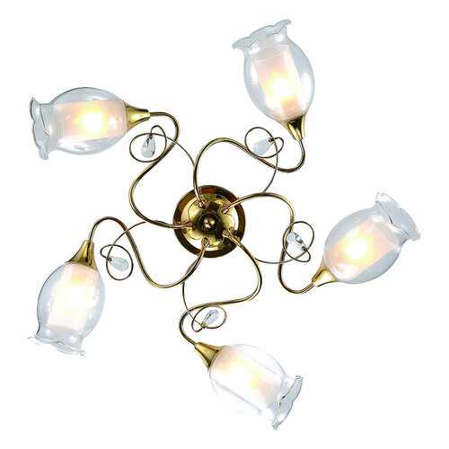 Люстра потолочная Arte Lamp A9289PL-5GO