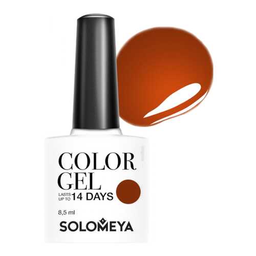 Гель-лак для ногтей Solomeya Color Gel Пряная корица