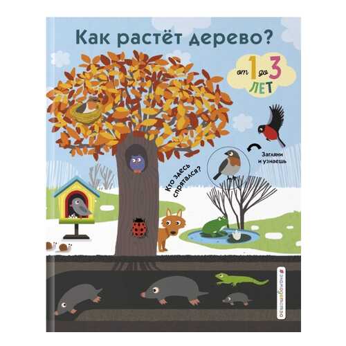 Как растет дерево?