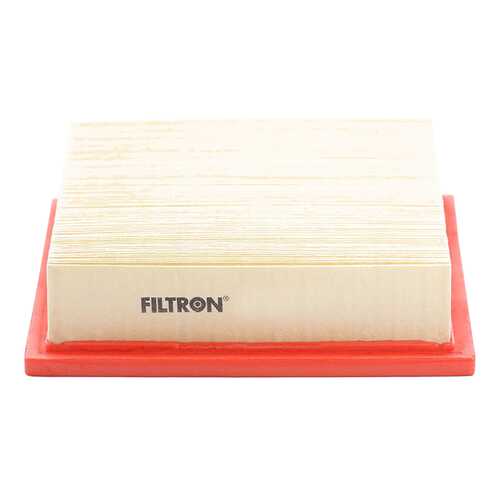 Фильтр воздушный двигателя Filtron AP1089