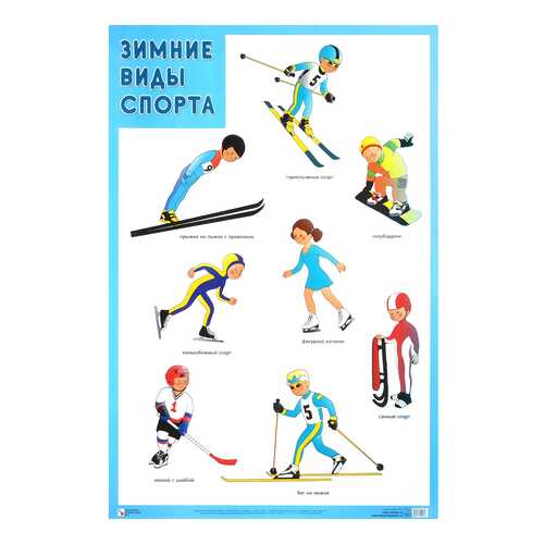 Плакат Зимние Виды Спорта