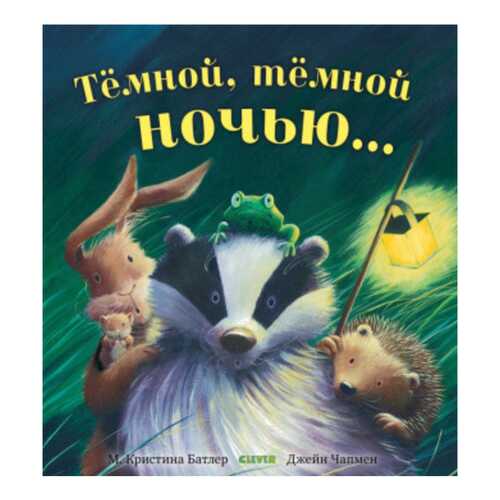 Книга Клевер Медиа Групп Книжки-картинки Темной, темной ночью