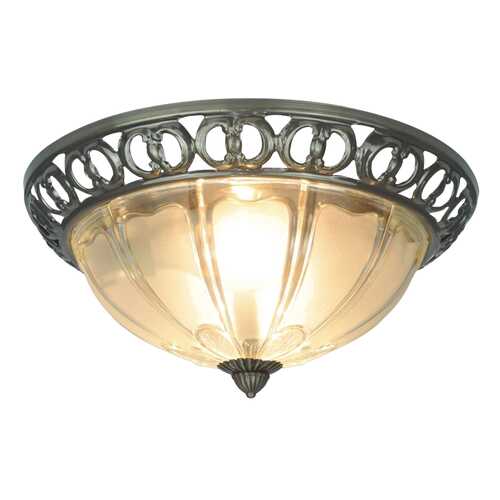 Потолочный светильник Arte Lamp 16 A1306PL-2AB
