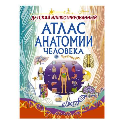 Детский Иллюстрированный Атлас Анатомии Человека