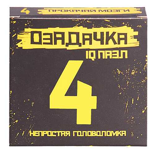 Головоломка ОЗАДАЧКА 22786 Тип 4