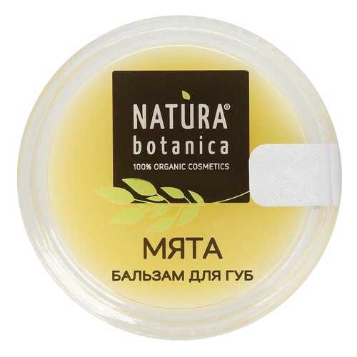 Бальзам для губ Natura Botanica «Мята», 10 г