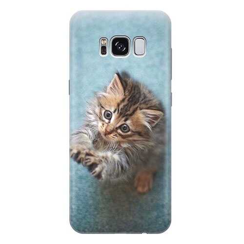 Чехол RE:PA для Samsung Galaxy S8 с принтом Котёнок на голубом