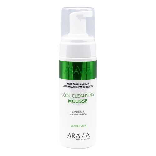 Мусс Aravia Professional Cool Cleansing Mousse 160 мл