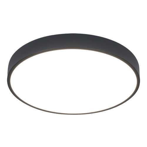 Светильник Arte Lamp ARENA A2661PL-1BK