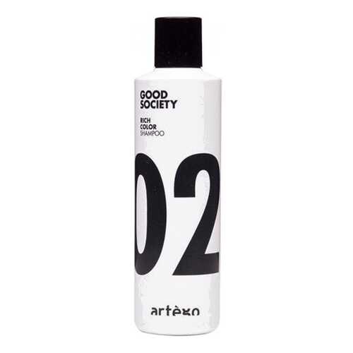Шампунь Artego Rich Color Shampoo для Окрашенных Волос, 250 мл