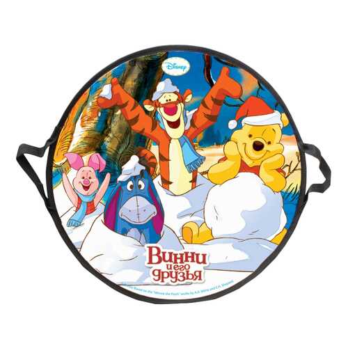 Ледянка детская 1TOY Disney Винни-Пух 52 см, круглая