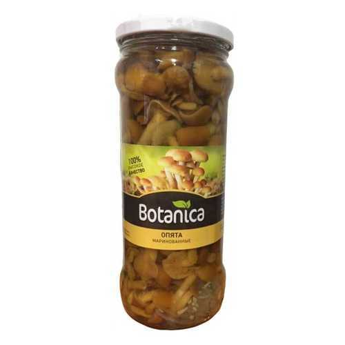 Грибы Botanica опята маринованные 370 мл