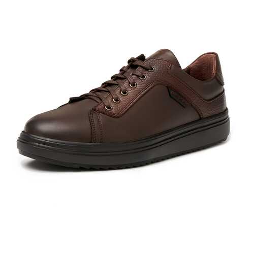 Кеды мужские Pierre Cardin TR-LR-992 коричневые 41 RU
