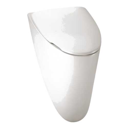 Писсуар Jacob Delafon PRESQU'ILE E1161-00
