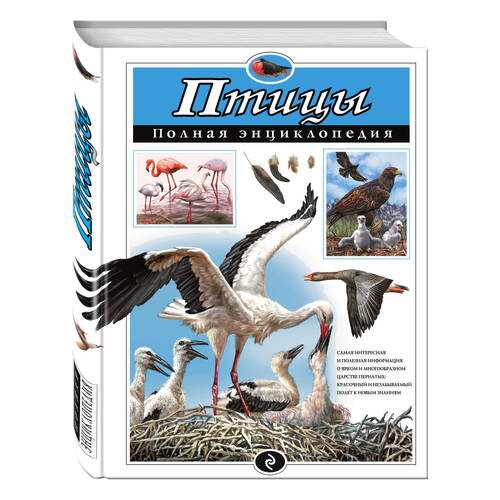 Детские книги в Дети