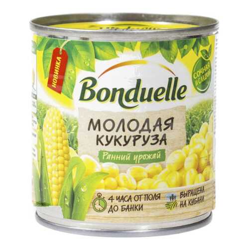 Консервация в Верный