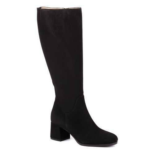Сапоги женские Eliza di Venezia E9264 черные 40 RU