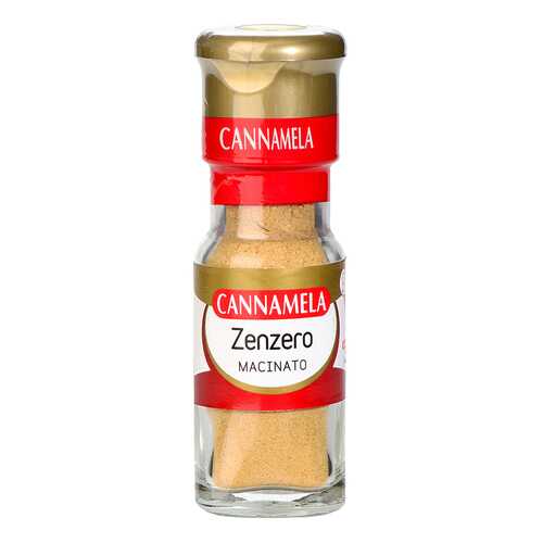 Приправа Cannamela имбирь молотый 20 г