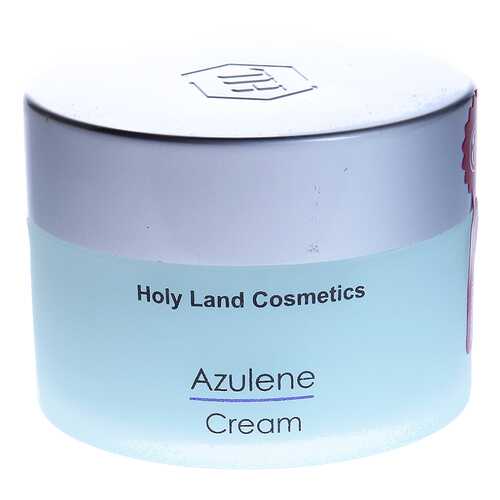 Крем для лица Holy Land Azulene Day Cream 250 мл