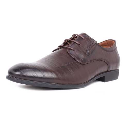 Туфли мужские T.Taccardi 03406360 коричневые 40 RU