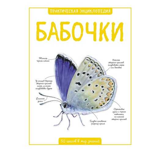 Книга Бабочки