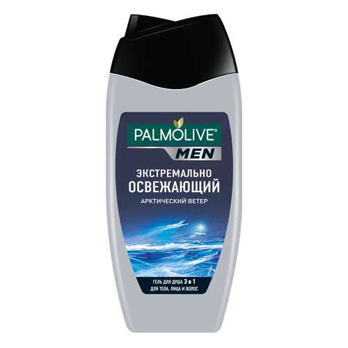Шампунь Palmolive Арктический ветер 250 мл для мужчин