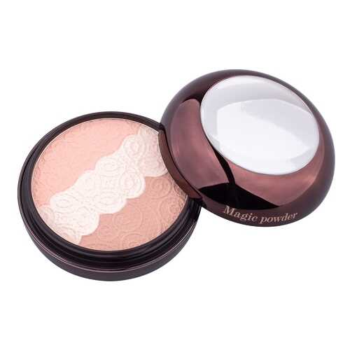 Пудра Eva Mosaic Magic Powder Светящаяся 9 г