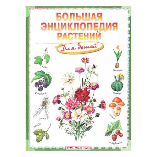 Большая Энциклопедия Растений для Детей (Miles & Kelly). Брюэр., Фарндон.