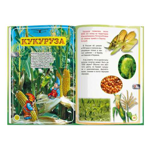 Детские книги в Дети