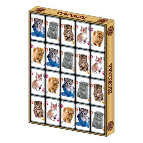 Шоколад в Светофор