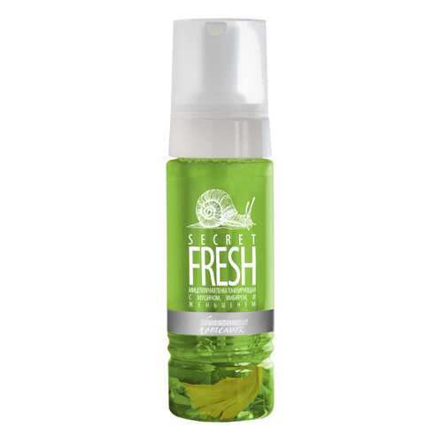 Пенка для снятия макияжа Premium Homework Secret Fresh ГП040225 170 мл