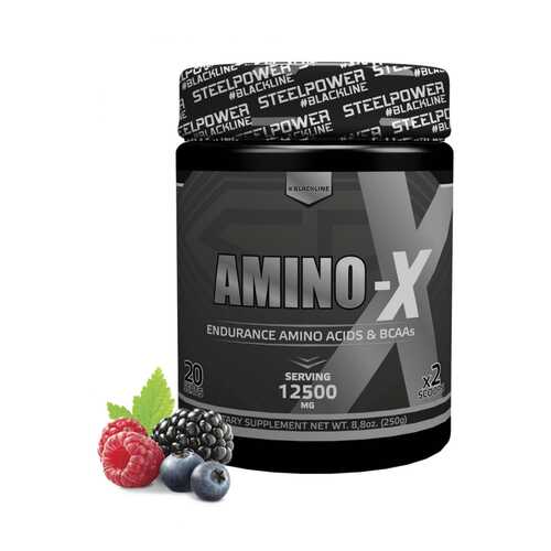 Аминокислотный комплекс AMINO-X, вкус «Лесные ягоды», 250 гр, STEELPOWER