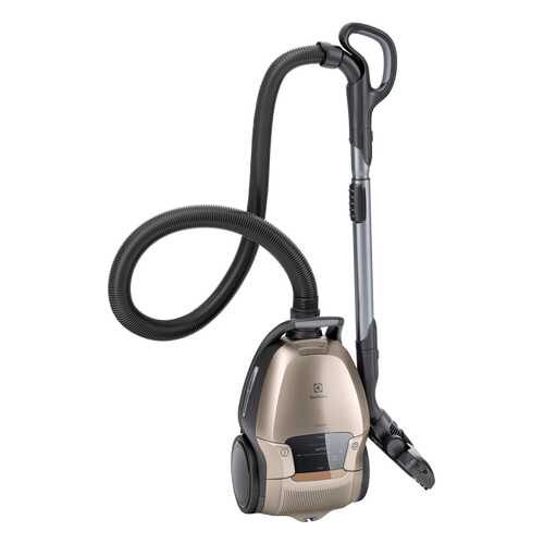 Пылесос Electrolux PD91-8SSM Gold