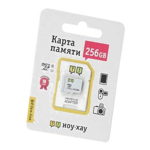 Карта памяти MicroSD 256Gb UHS-I Класс 10 + адаптер SD