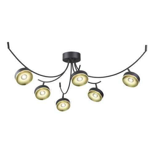 Люстра потолочная Odeon Light 3812/42CL